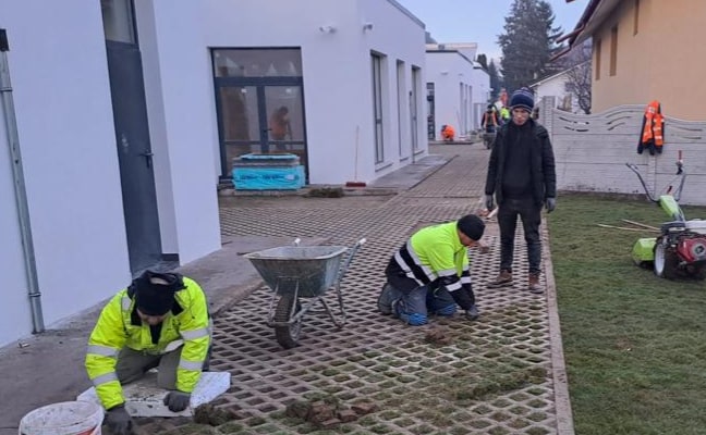 Proiect ADG consultanță