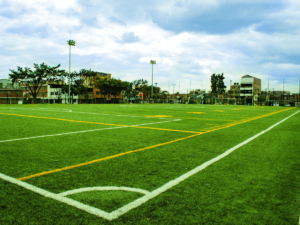 Terenuri de sport: de la concept la realizare