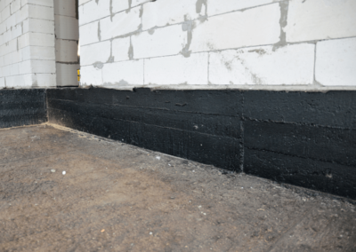 Casa unifamiliala P+E1